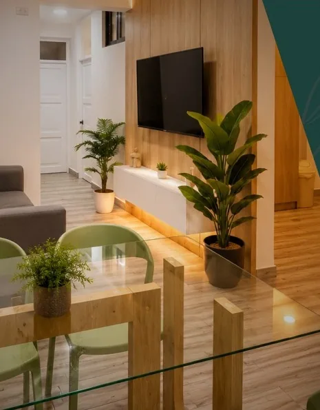 Sala y comedor del Superior Apartment con televisor y plantas